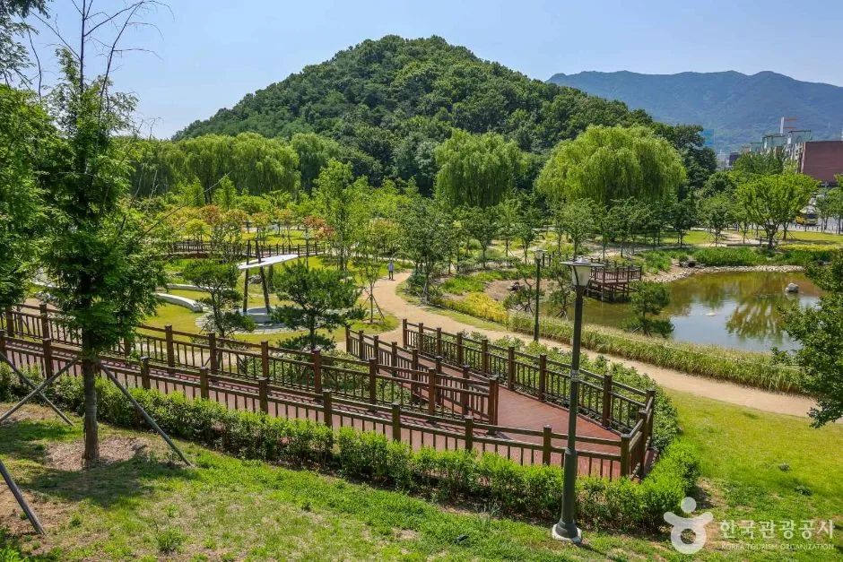 대구대표도시숲 (1)