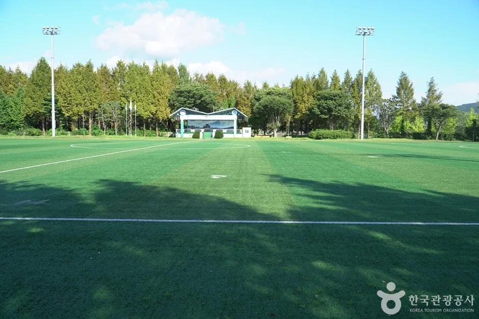 양서문화체육공원 (6)