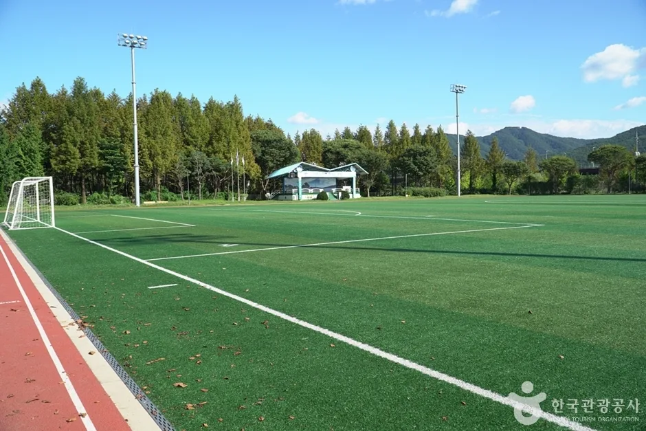 양서문화체육공원 (9)