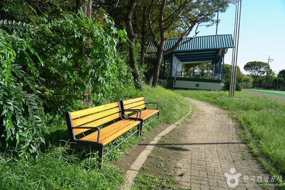 양서문화체육공원 (13)