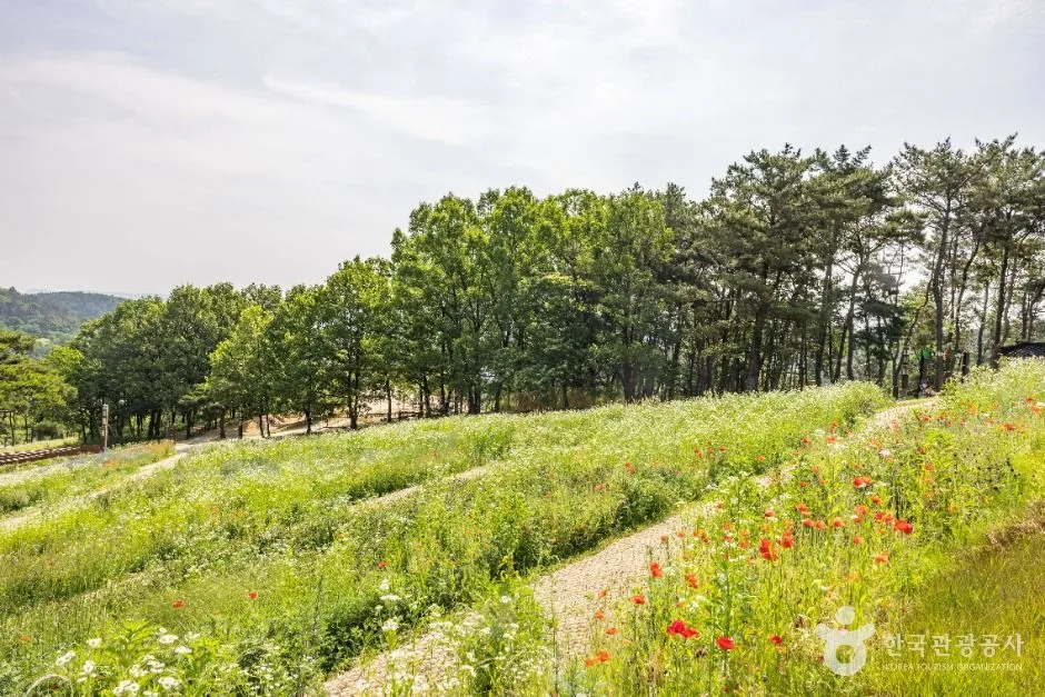 경주_화랑마을 (11)