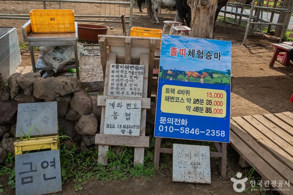 졸띠유채밭 (3)