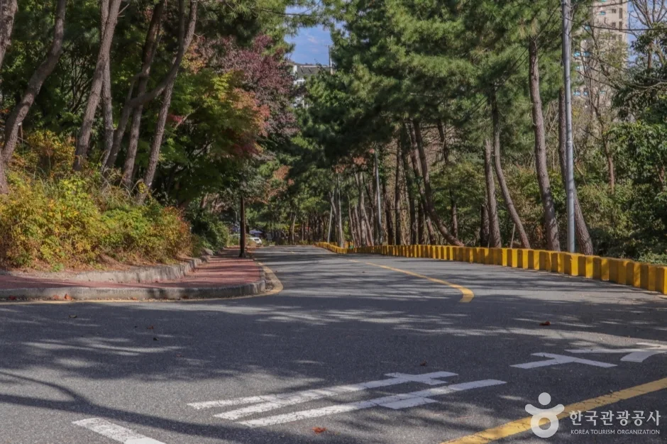울산동부도서관 (6)