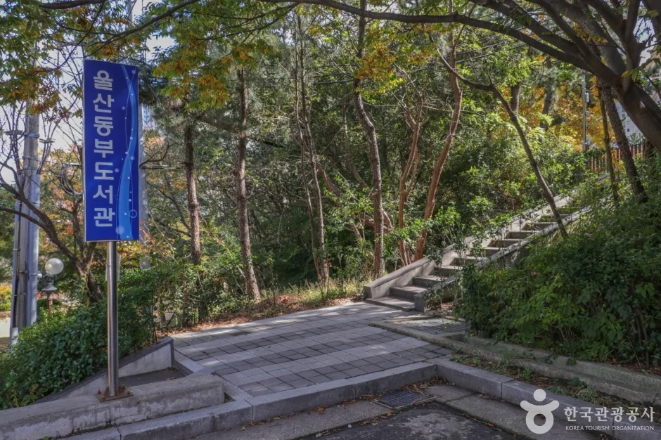 울산동부도서관 (15)