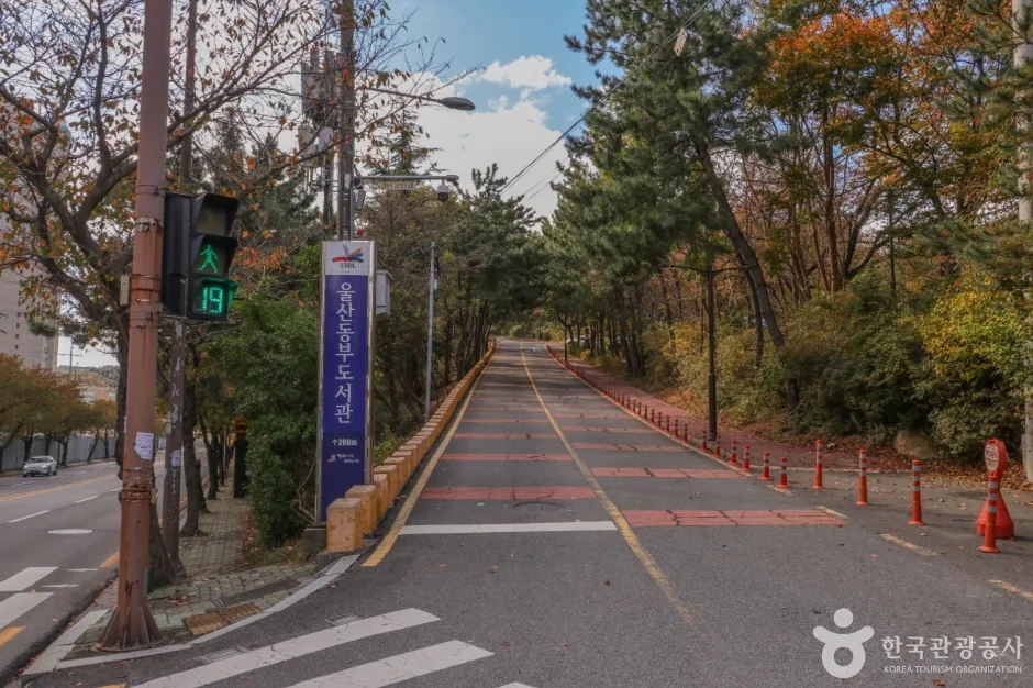 울산동부도서관 (1)