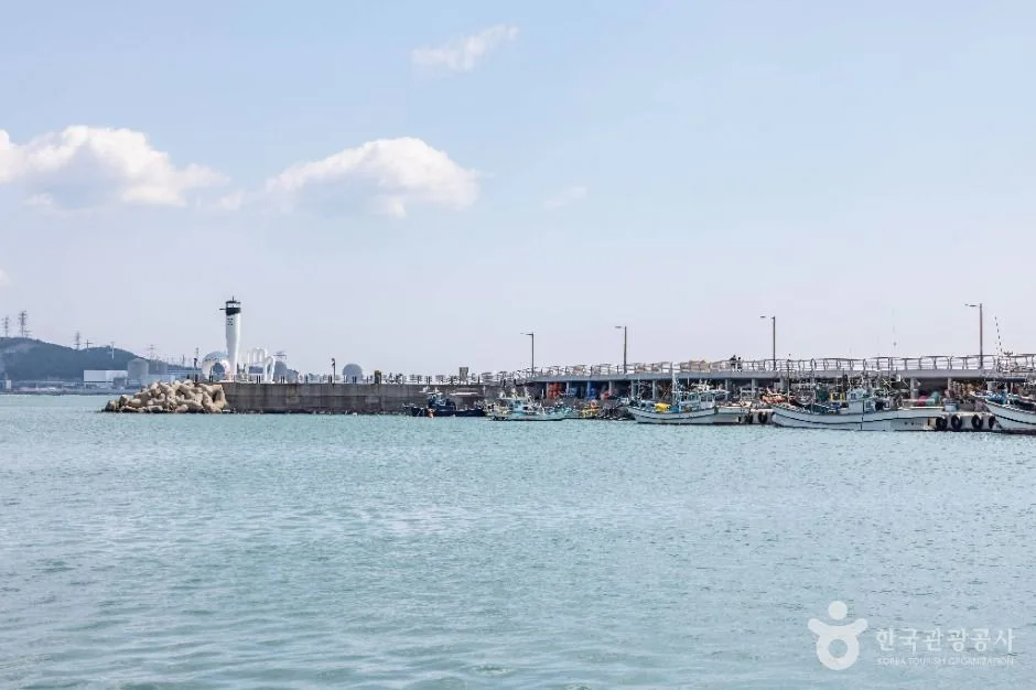 부산_칠암항 (3)