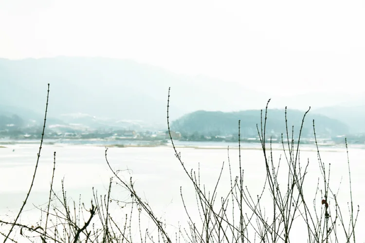 충남_천안_시장지_풍경3