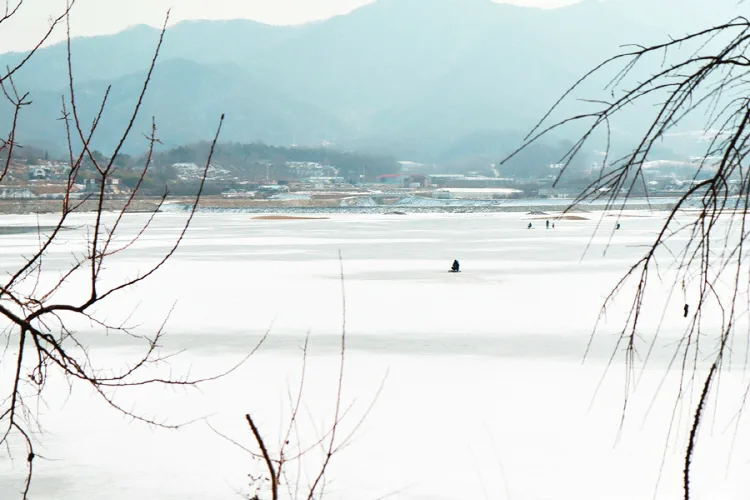 충남_천안_시장지_풍경2