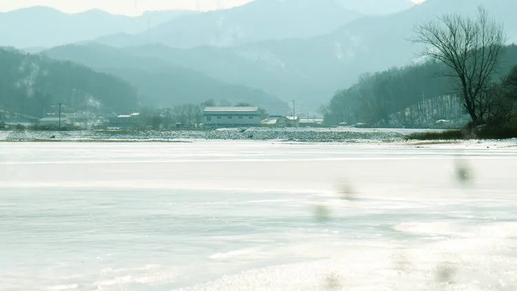 충남_천안_시장지_풍경4