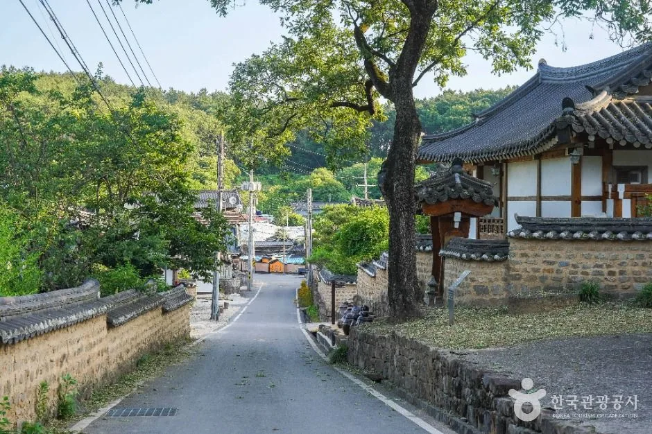 달성_묘골마을 (7)