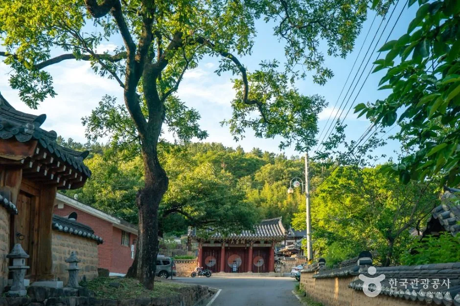 달성_묘골마을 (3)