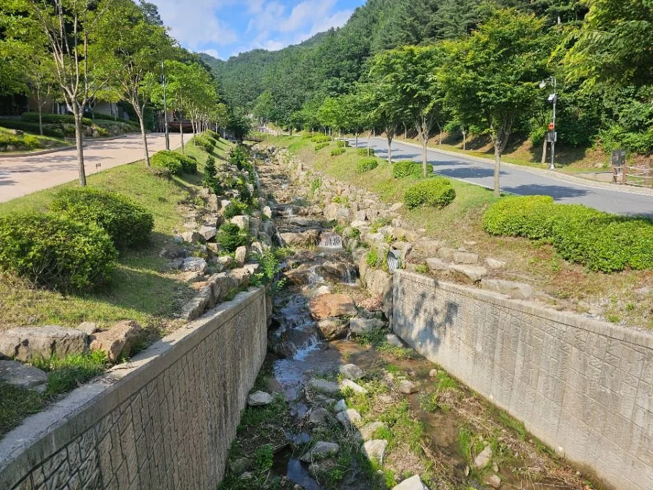 문수산자연휴양림 (5)