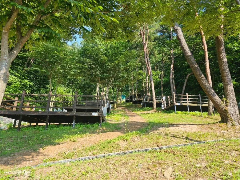 문수산자연휴양림 (6)