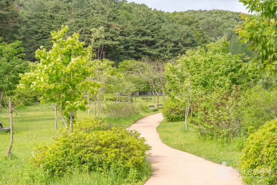 군포_매쟁이골 (5)
