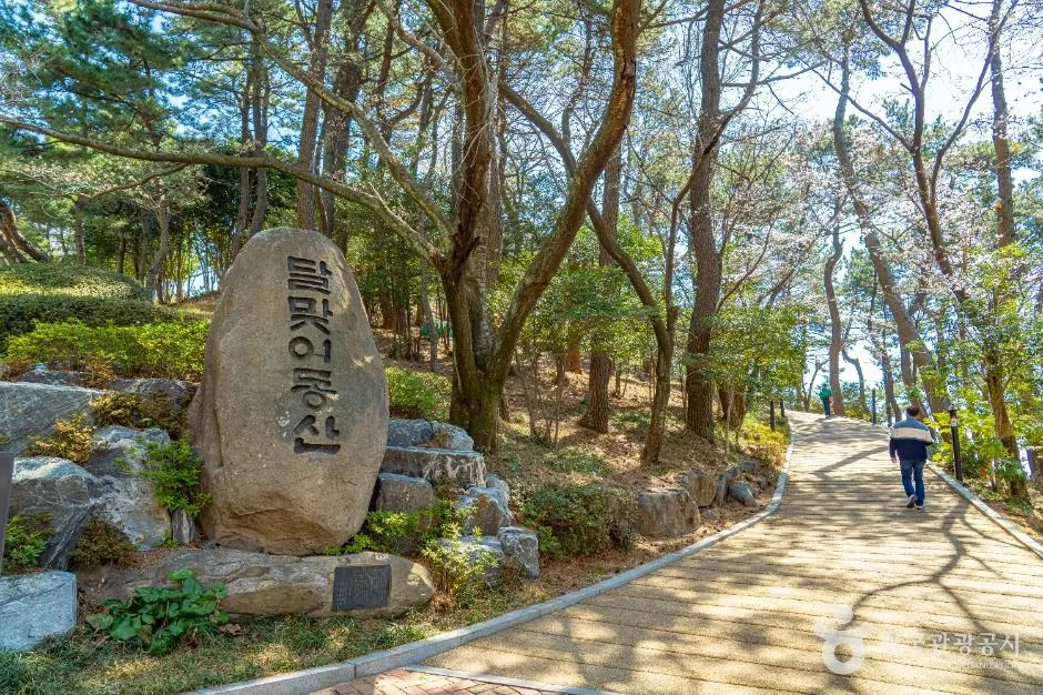 부산_문탠로드 (3)