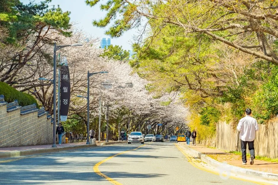 부산_문탠로드 (4)