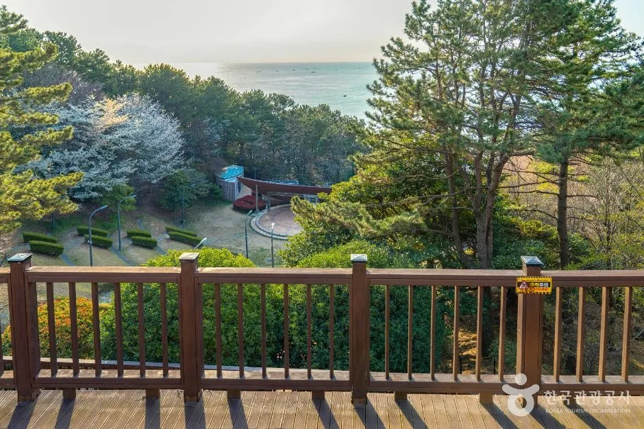 부산_문탠로드 (5)