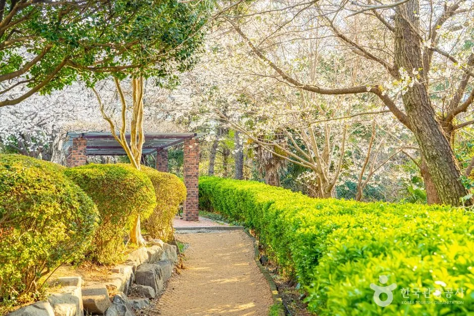 부산_문탠로드 (7)