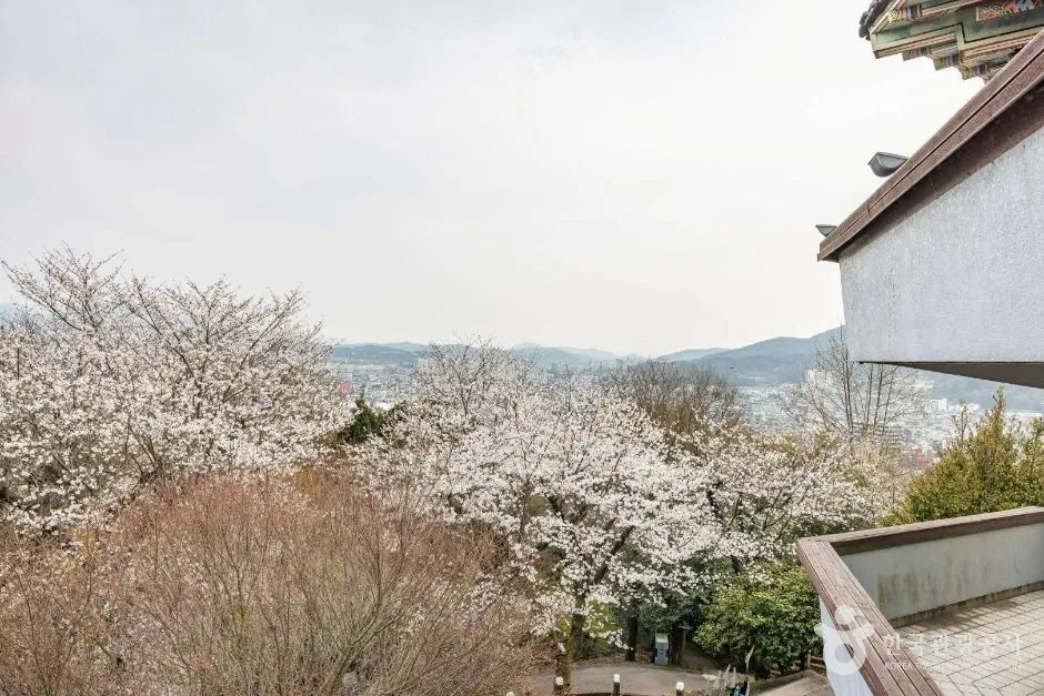 무장애_전남_순천_죽도봉공원09