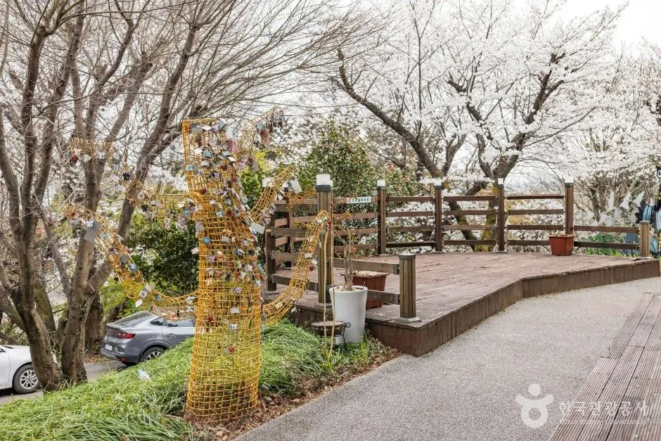죽도봉공원 (13)