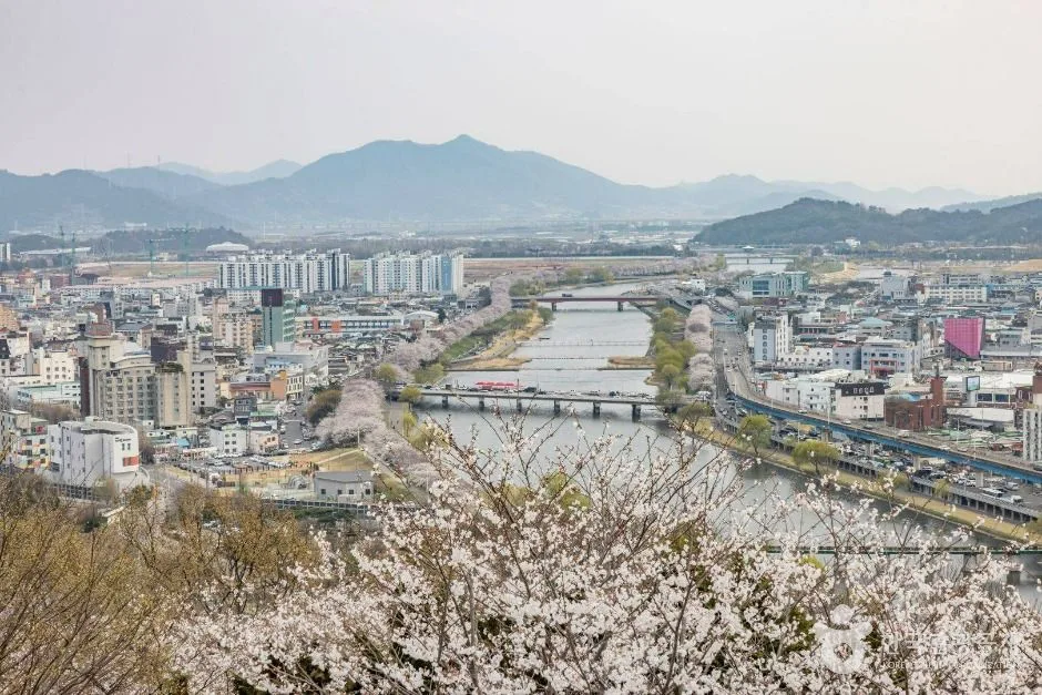 죽도봉공원 (11)