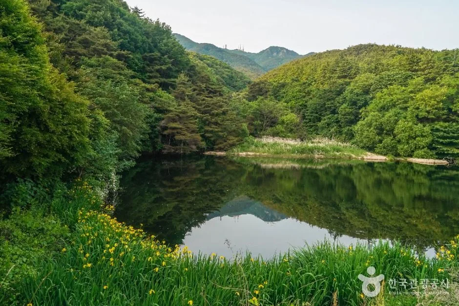 대구_팔공산국립공원(동화사지구) (3)