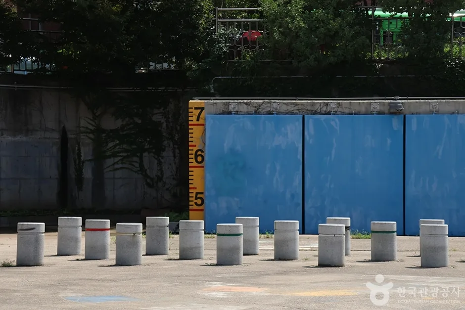 망원유수지체육공원 (5)
