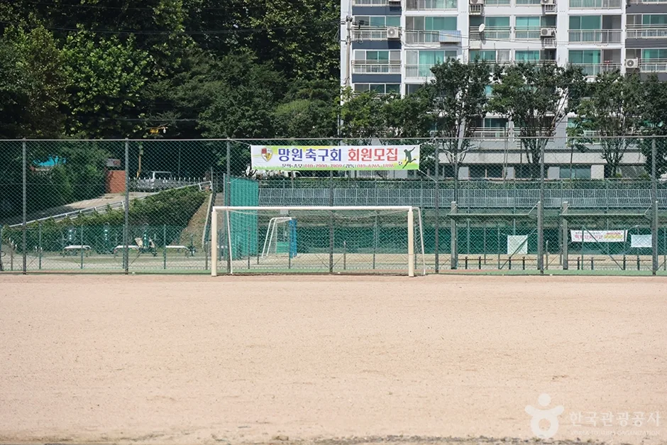 망원유수지체육공원 (4)