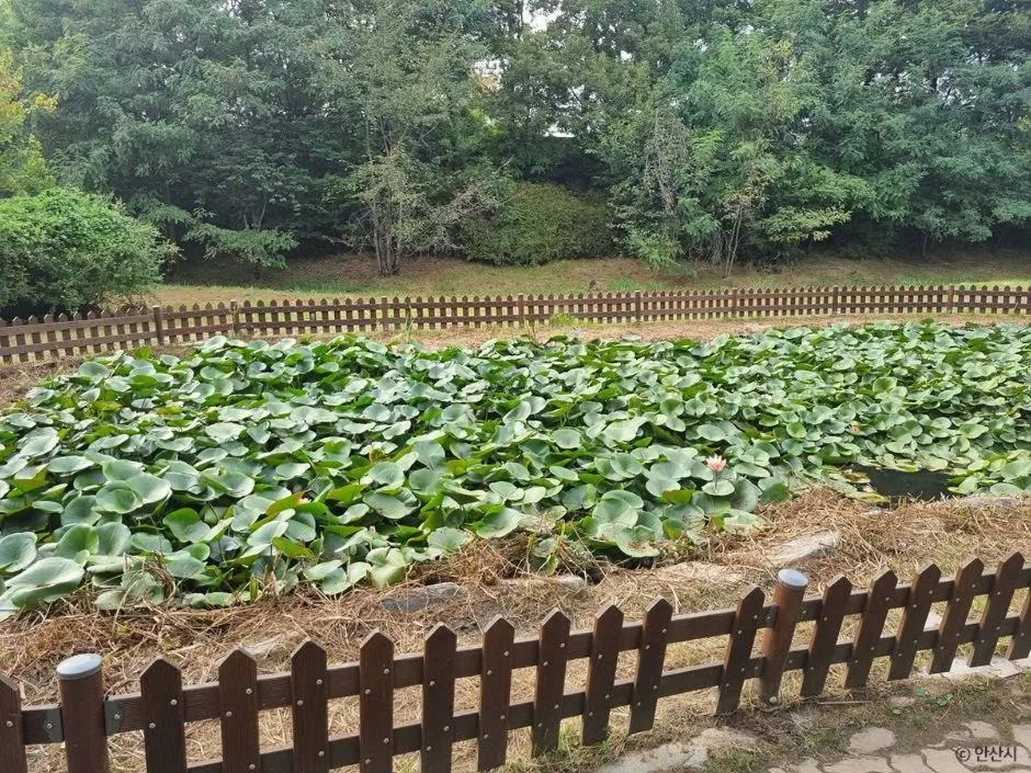 안산_단원조각공원_9