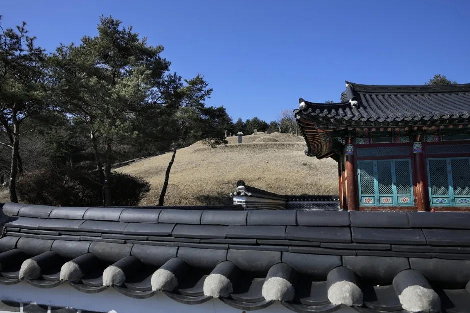 이광륜묘 (4)