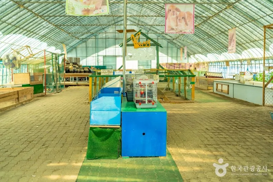 강릉_자연아놀자 체험학습박물관 (7)