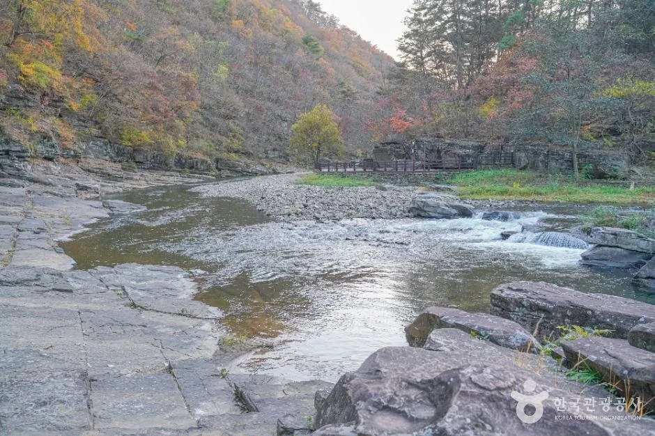울산_천전리각석계곡(울산) (1)