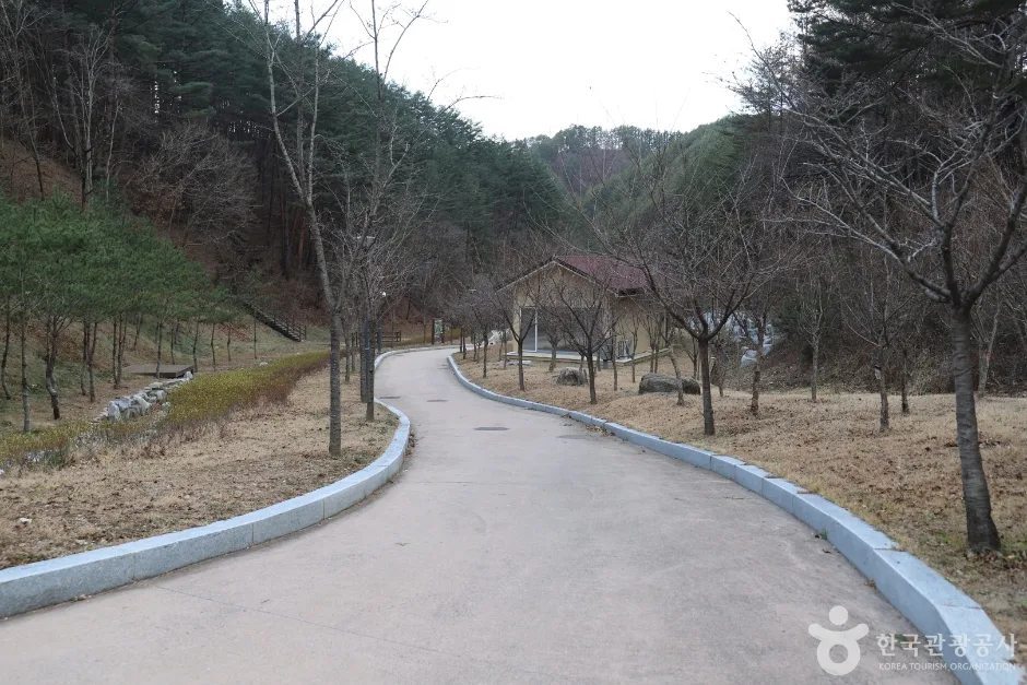 울진_금강송 에코리움 (8).jpg