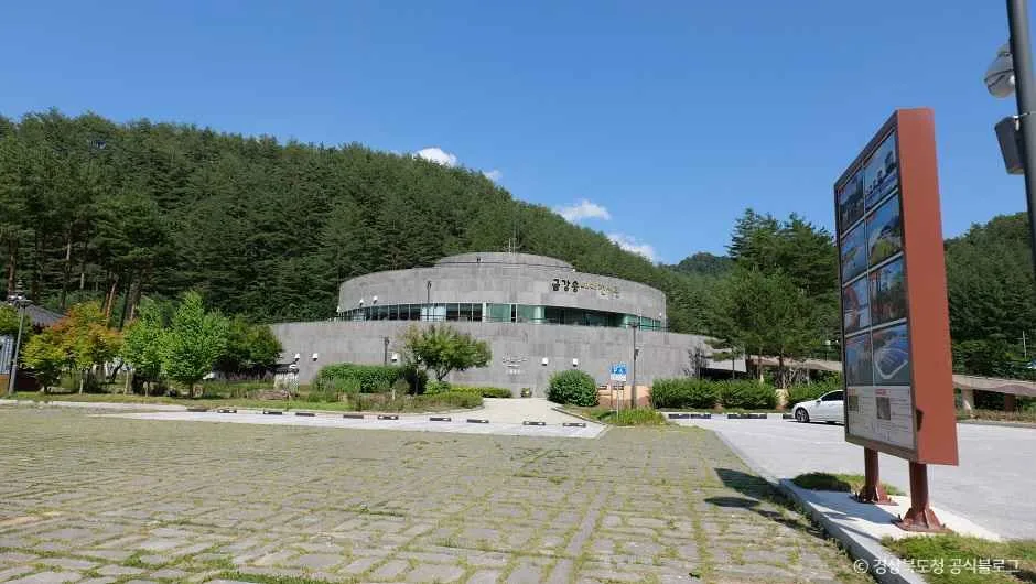 금강송 에코리움_10