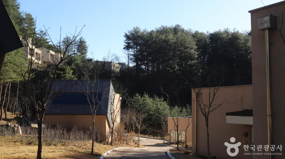울진_금강송 에코리움 (11).jpg