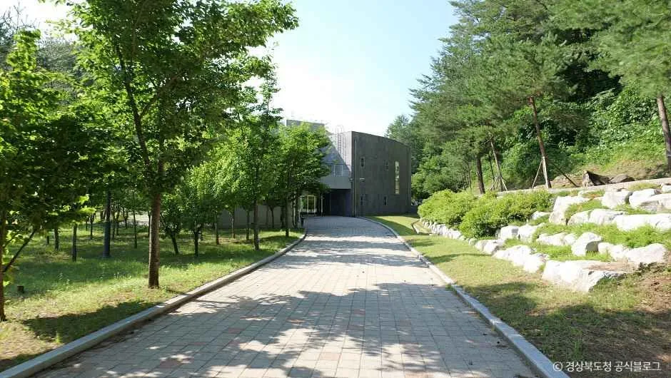 금강송 에코리움_7