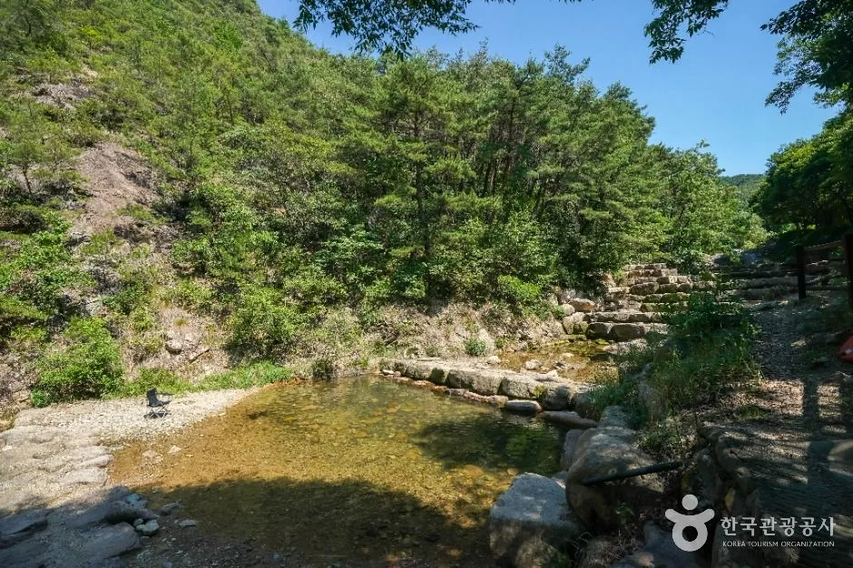 대구_화원자연휴양림 (6)