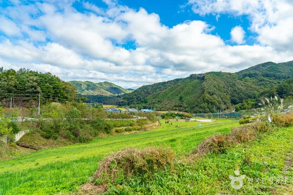 보은_상궁저수지 (2)