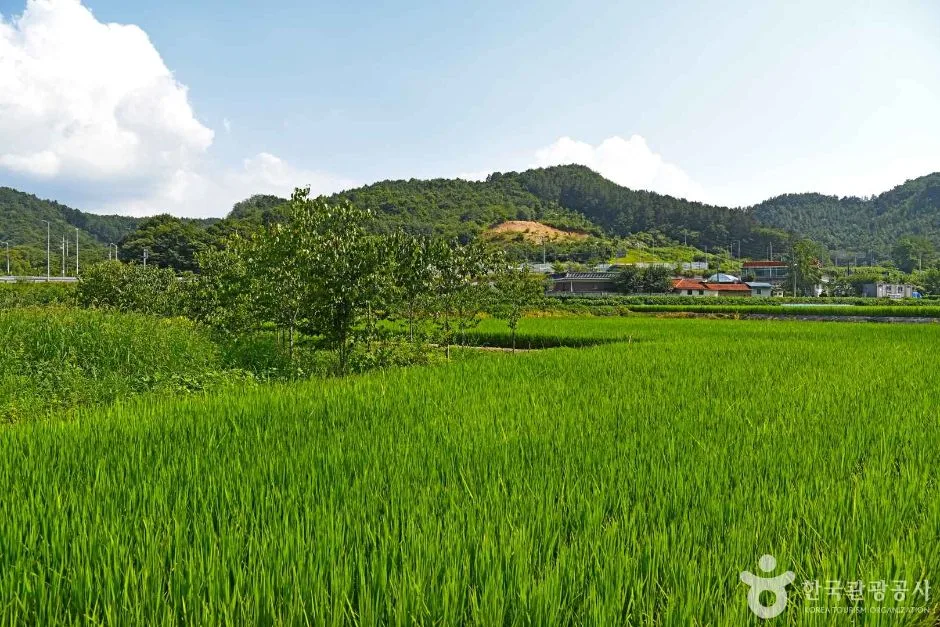 진안 배넘실마을 (5)