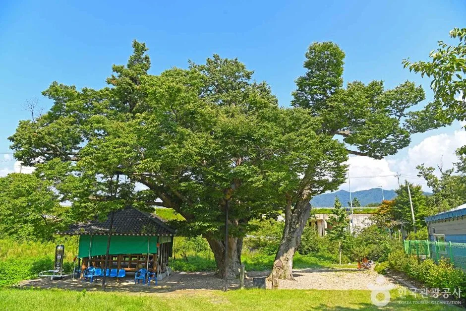 진안 배넘실마을 (4)