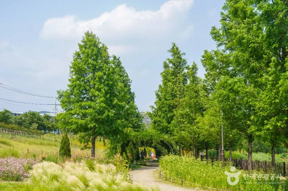 대구_대구 세천늪테마정원 (4)