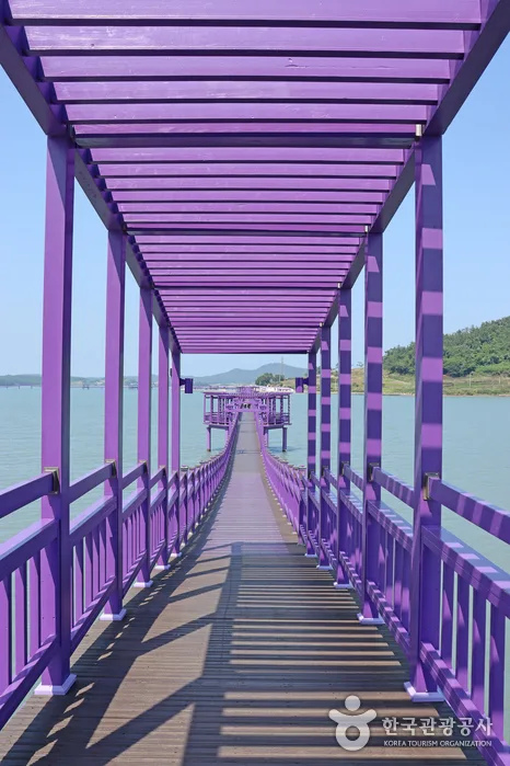 전남_신안_반월도·박지도_반월도 분교