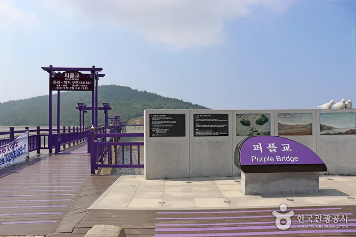 전남_신안_반월도·박지도_반월도 당숲
