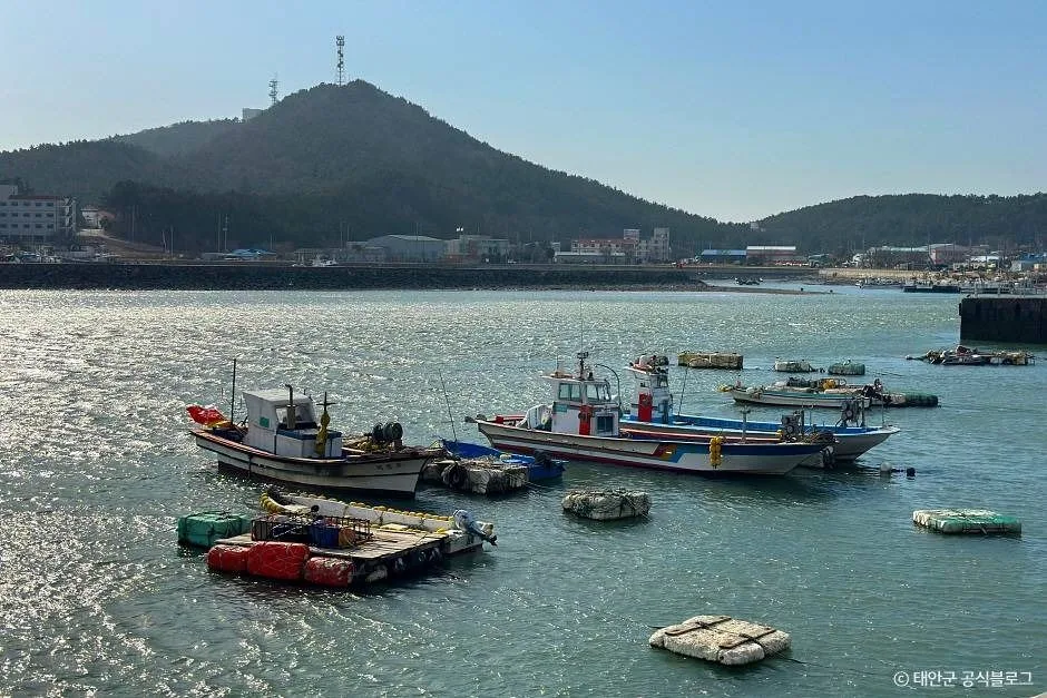 충남_태안군_안흥나래교 (5).jpg