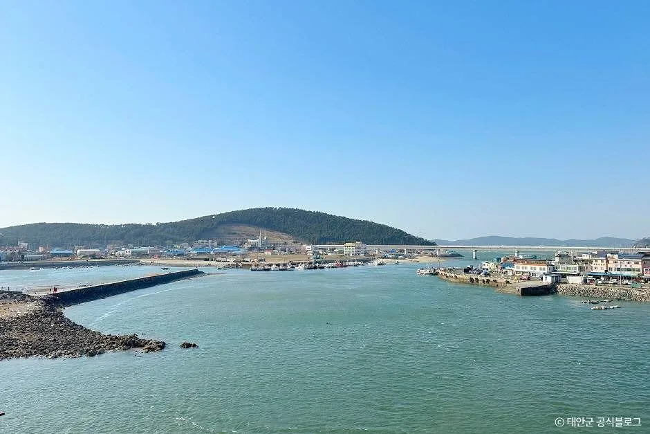 충남_태안군_안흥나래교 (6).jpg