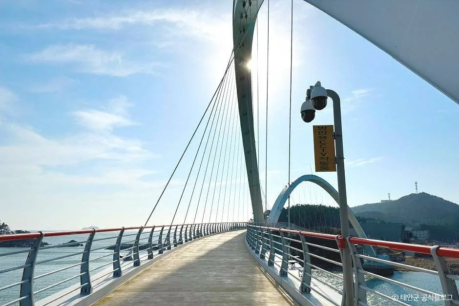 충남_태안군_안흥나래교 (7).jpg