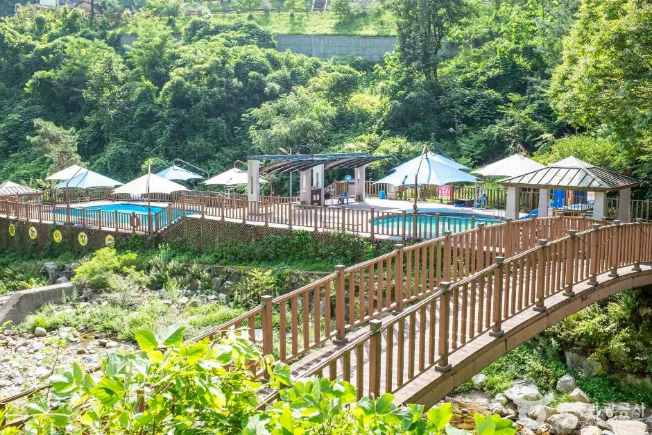 경북_김천_수도산자연휴양림 (2)