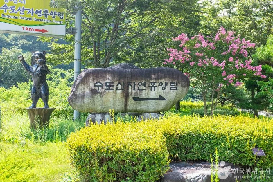 경북_김천_수도산자연휴양림 (7)