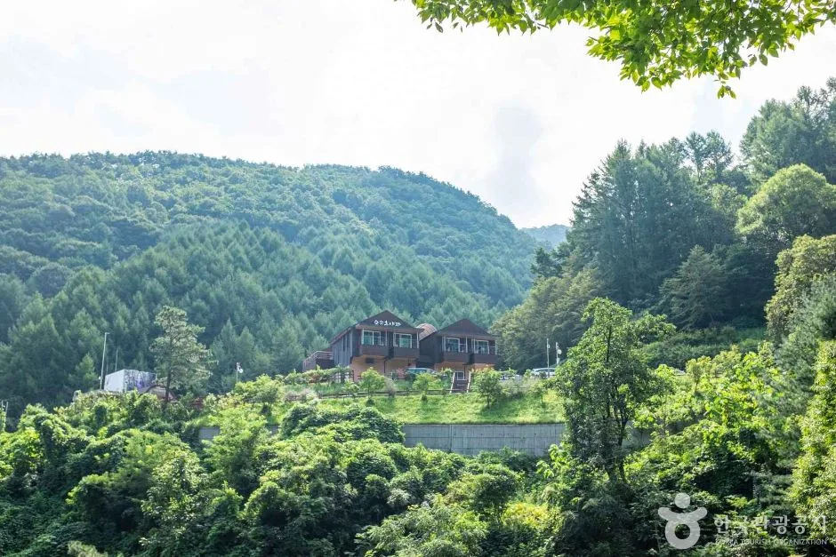 경북_김천_수도산자연휴양림 (3)