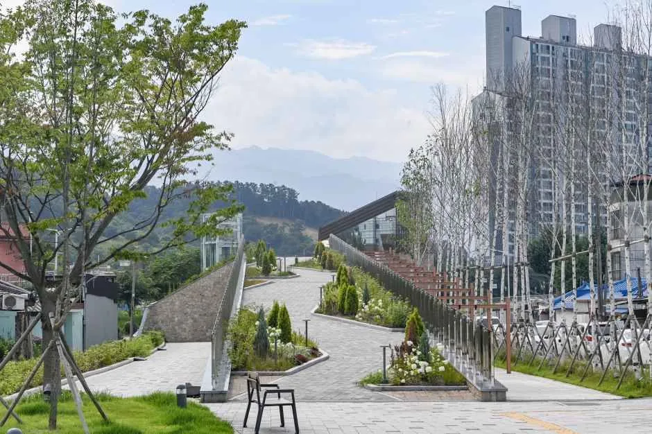 원주_치악산바람길숲 (2).JPG